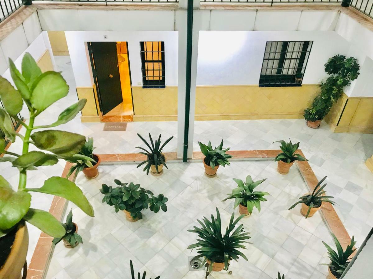 Los Patios De La Juderia เซบีญา ภายนอก รูปภาพ