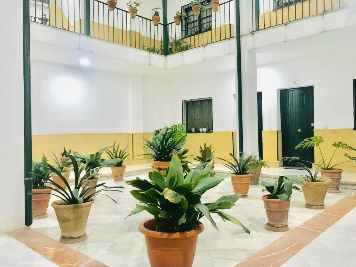 Los Patios De La Juderia เซบีญา ภายนอก รูปภาพ