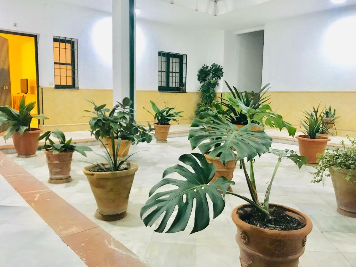 Los Patios De La Juderia เซบีญา ภายนอก รูปภาพ