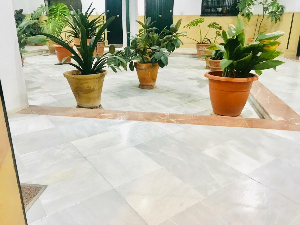 Los Patios De La Juderia เซบีญา ภายนอก รูปภาพ